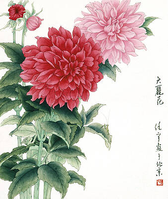 Garden Painting - Dahlia by Ren Yu