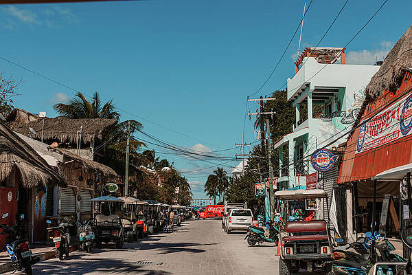 Vibrant Wall Art featuring the photograph Daily Life In Paradise by Nova Rae