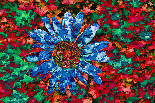 Colorful Wall Art featuring the photograph Daisy And Ivy by Bruce Block