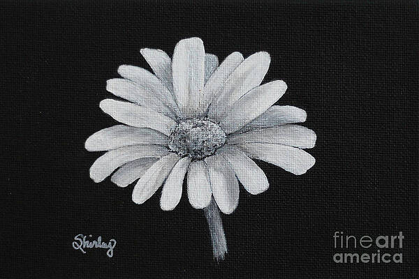 Painting - Daisy by Shirley Dutchkowski