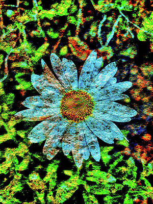 Wall Art featuring the photograph Daisy With Lichen Texture by Bruce Block