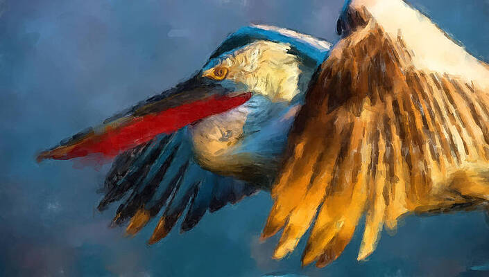 Painting - Dalmatian Pelican by Gary Arnold