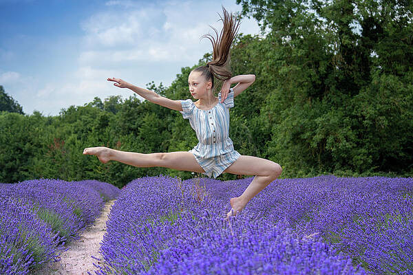 Wall Art featuring the photograph Dance On The Lavender by Andrew Lalchan