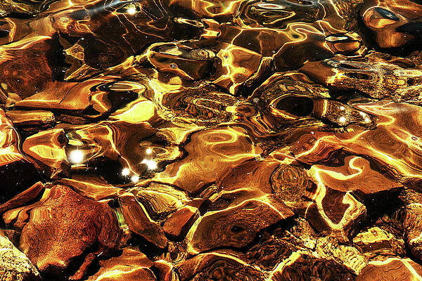 Dancing Gold by Rick Perkins