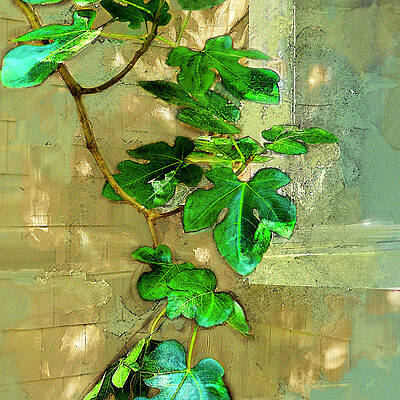 Summer Digital Art - Dappled Corner by Gina Harrison