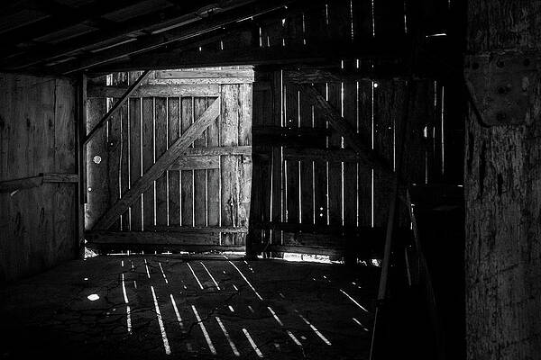 Wall Art featuring the photograph Dark Secrets by Gina Cinardo