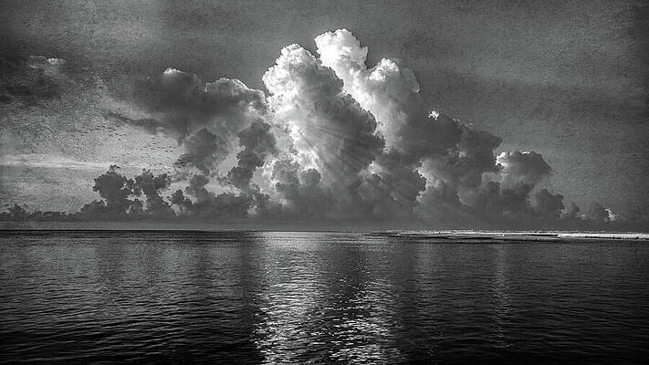 Wall Art featuring the photograph Dawn At Dewees by Maryanne Keeling