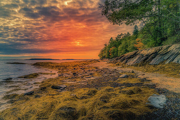 Wall Art featuring the photograph Dawn At Casco Bay by Penny Polakoff