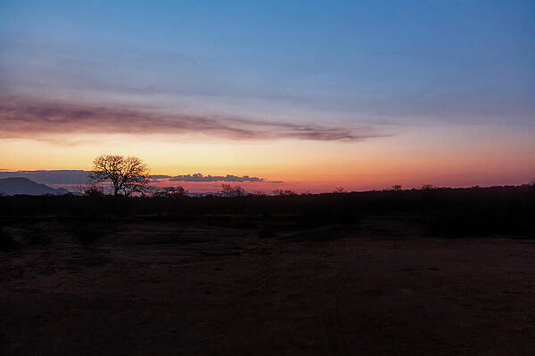 Wall Art featuring the photograph Dawn Over The African Wilderness by John Twynam