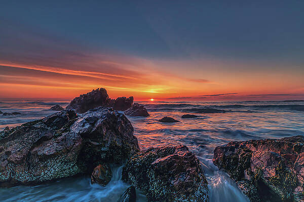 Wall Art featuring the photograph Daybreak On Marginal Way by Penny Polakoff