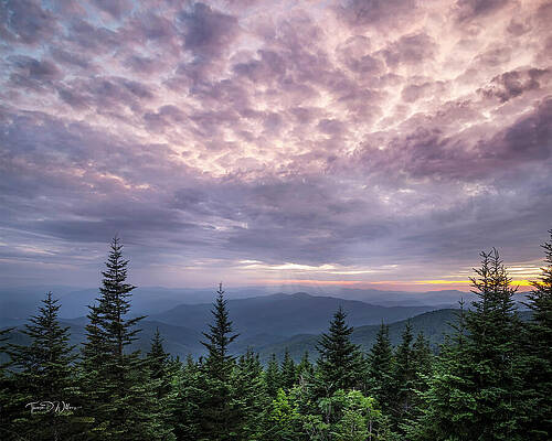 Appalachia Wall Art featuring the photograph Days Like These by Theresa D Williams Smoky Mountains