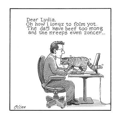 Man and Cat Typo Cartoon Drawing