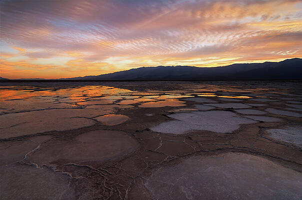 Death Valley by Barbara Siegel