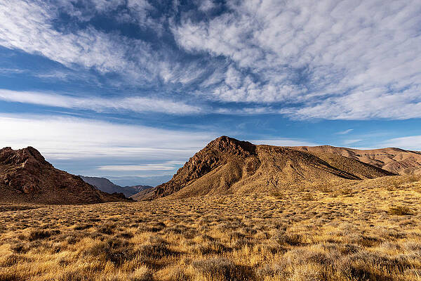 California Wall Art featuring the photograph Death Valley Vista by Craig A Walker