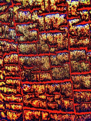 Abstract Photograph - Decaying Stump Detail by Bruce Block
