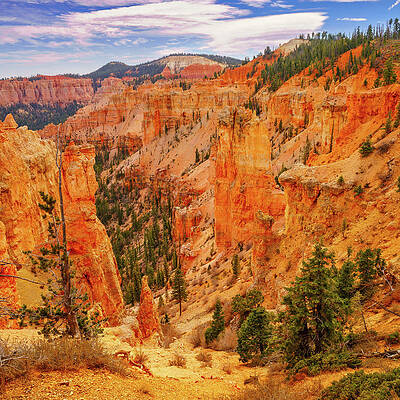 Nature Photograph - December 2022 Bryce Canyon Detail by Alain Zarinelli