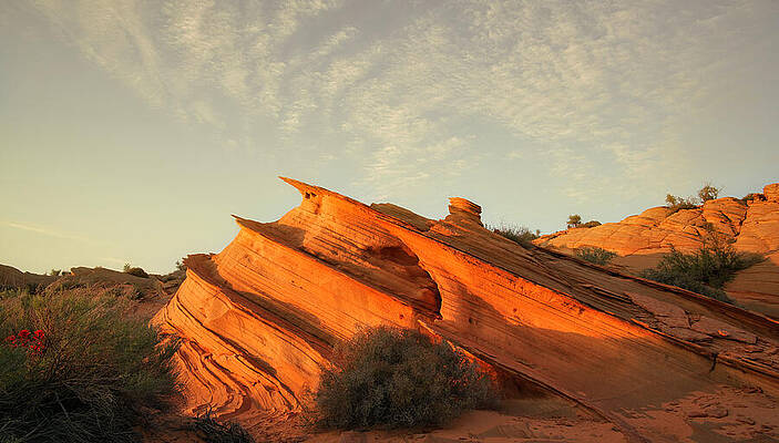 Nature Photograph - December 2024 Wave by Alain Zarinelli