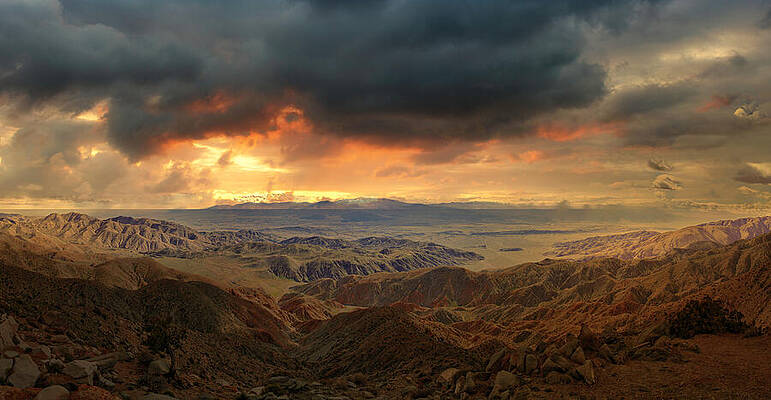Dramatic Desert Sunset Wall Art