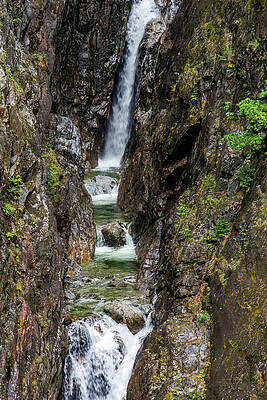 Photograph - Deception Creek Stevens Pass Washington by Tommy Farnsworth