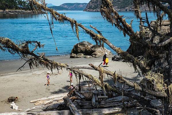 Beach Photograph - Deception Pass Beach West And Mossy Branches by Tom Cochran