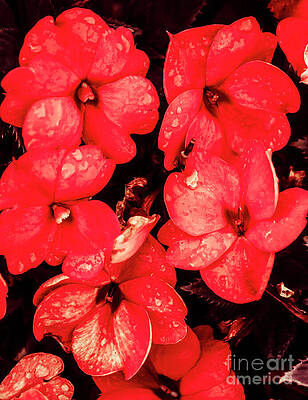 Natural Wall Art featuring the photograph Decorative Red by Jorgo Photography