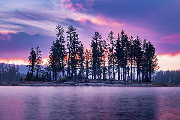 Wall Art featuring the photograph Dedication Dawn by Mike Lee