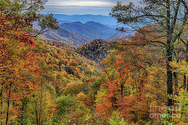 Landscape Wall Art featuring the photograph Deep Creek Overlook by Jimmy Pappas