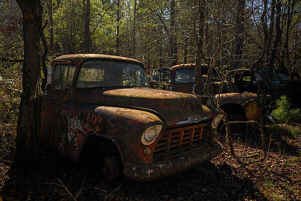 Rusty Trucks in Forest Wall Art