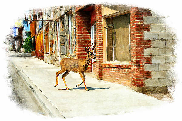 Architecture Photograph - Deer Running Downtown Challis, Idaho by Tatiana Travelways