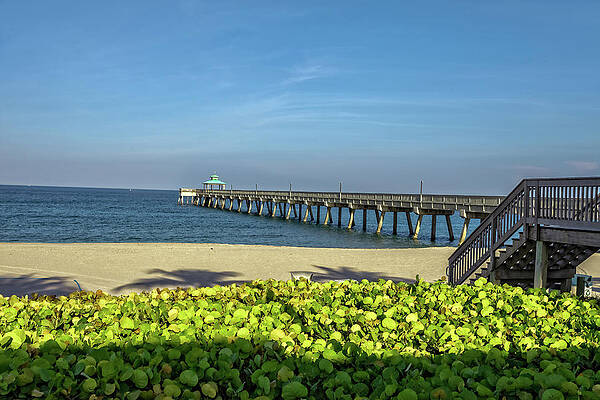 Florida Photograph - Deerfield Bch Pier by Chris Spencer