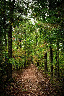 Confederate Wall Art featuring the photograph Defense Of Chinn Ridge by American Landscapes