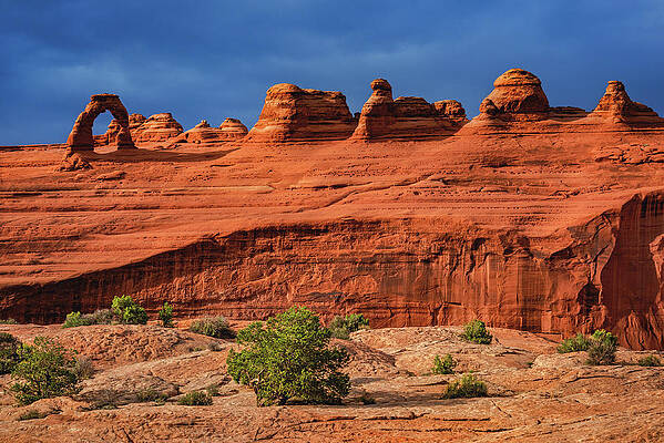 Desert Photograph - Delicate Arch And Desert Plants, Utah by Abbie Warnock
