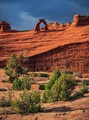 Desert Photograph - Delicate Arch And Desert Plants, Utah - Horizontal by Abbie Warnock