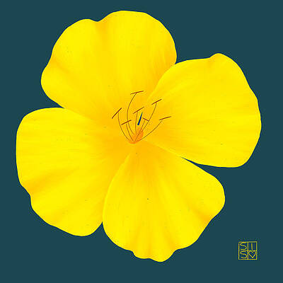 Delicate Digital Art - Delicate Buttercup by Snow Iris Studio
