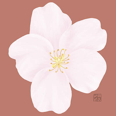 Delicate Digital Art - Delicate Cherry Blossom by Snow Iris Studio