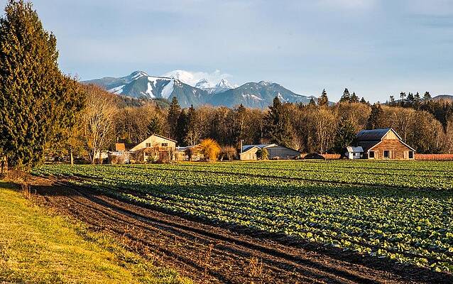 Farm Photograph - Deming Farm And Mt Baker by Tom Cochran