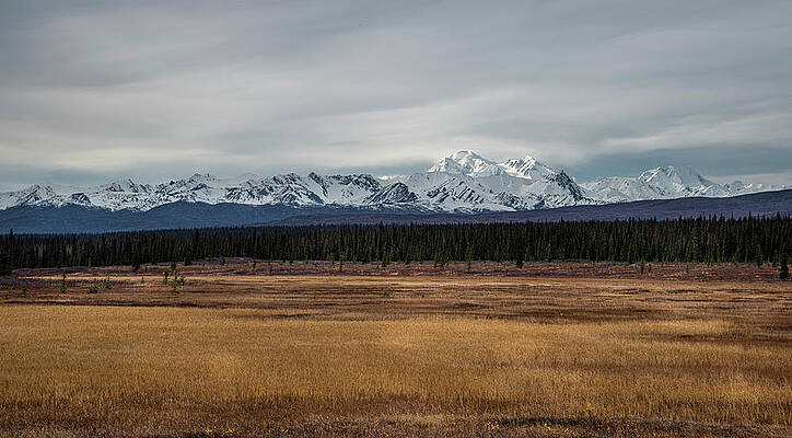 Natural Photograph - Denali by David Morefield
