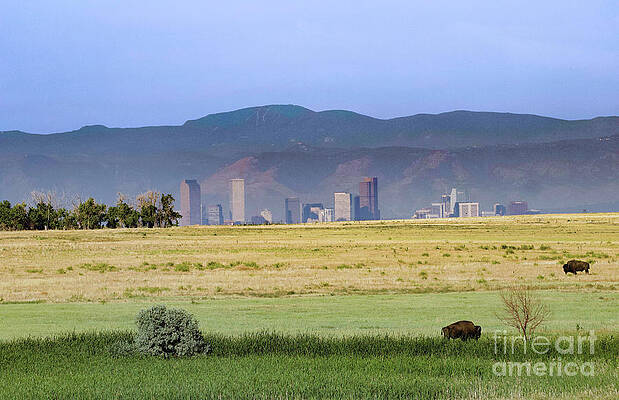 Colorado Wall Art featuring the photograph Denver, Colorado by Shirley Dutchkowski