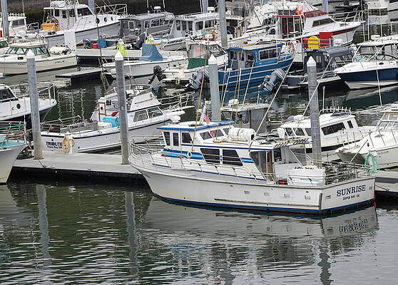 Boats Docked in a Marina Wall Art