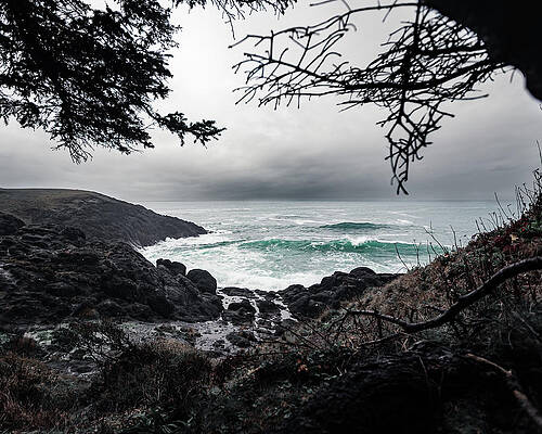 No People Wall Art featuring the photograph Depoe Bay, Oregon by Shannon Williams