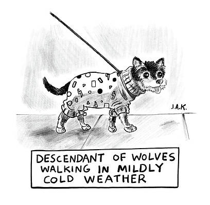 Dog in Cold Weather Fashion Wall Art