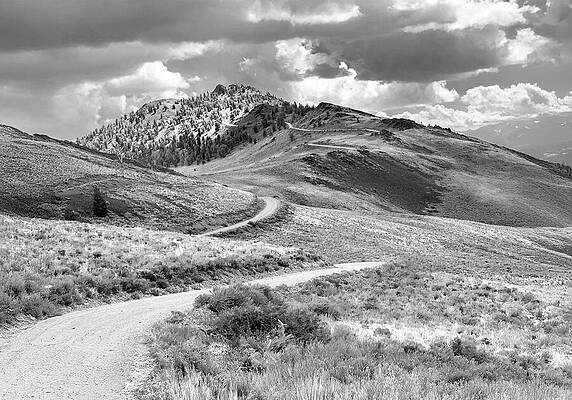 Wall Art featuring the photograph Descending Then Ascending by Joe Schofield