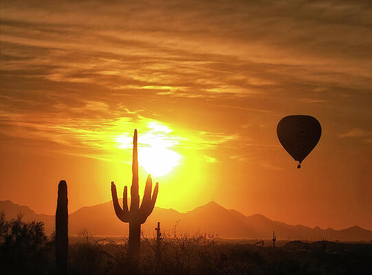 Sunrise Wall Art featuring the photograph Desert Balloon Sunrise by Bob Falcone