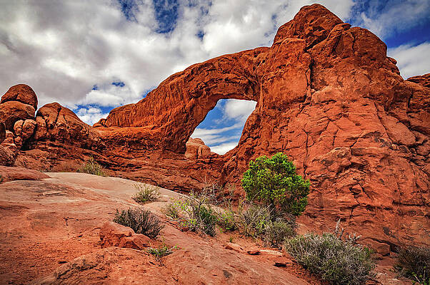 Desert Photograph - Desert Eye - Arches, Utah by Abbie Warnock