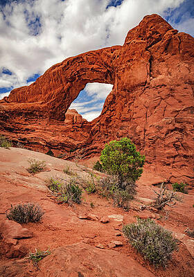 Desert Photograph - Desert Eye, Arches - Utah - Horizontal by Abbie Warnock