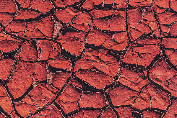 Desert Photograph - Desert Mud Cracks, Paria, Utah by Abbie Warnock