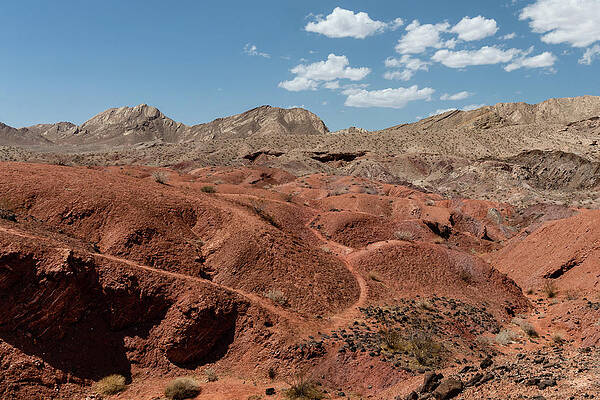 Mountain Photograph - Desert Path by Craig A Walker