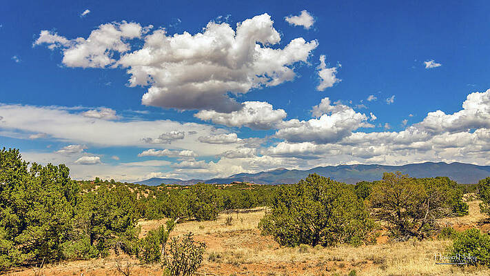 Sky Wall Art featuring the photograph Desert Skies Of New Mexico by Howard Holley