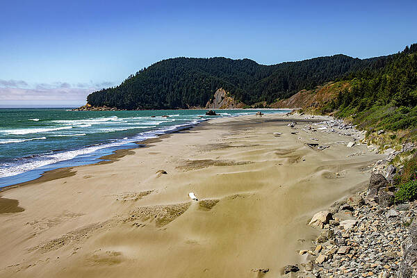 Oregon Wall Art featuring the photograph Desolate Myer's Beach by Ed Clark