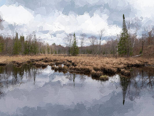 Wild Photograph - Desolate Swamp In A Forest In Ontario Oil Painting by John Twynam